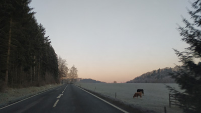 28.11.2018