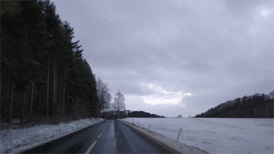 29.01.2019