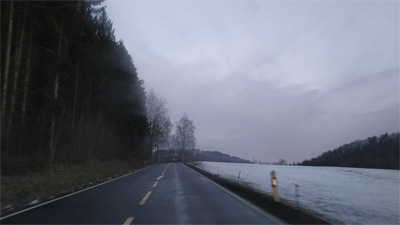 31.01.2019