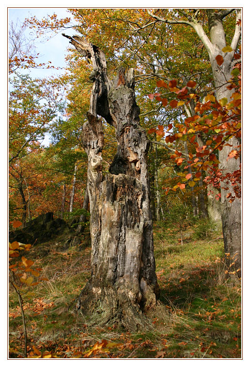 Großansicht