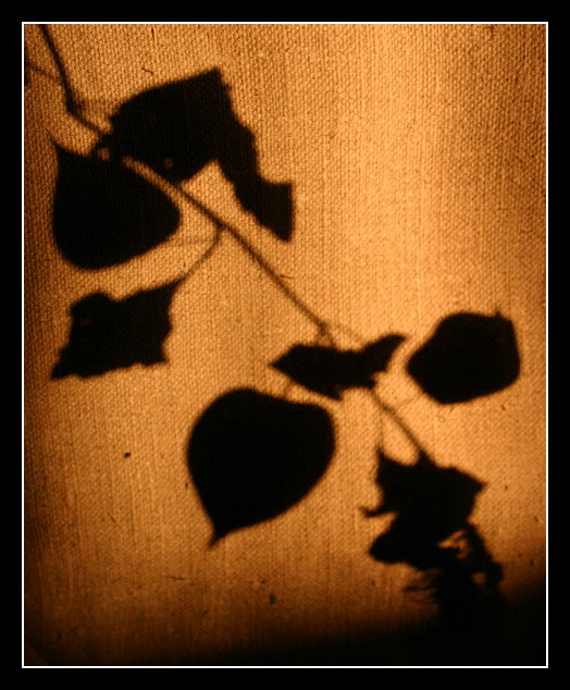 Großansicht