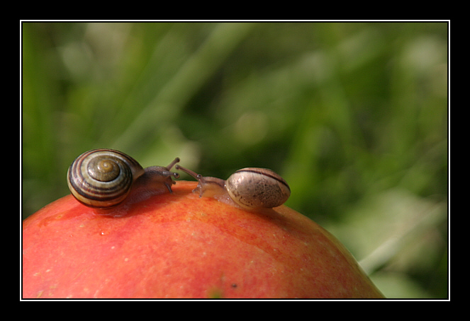 Großansicht